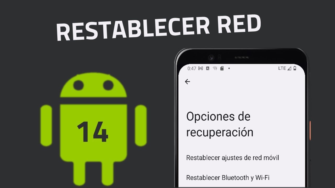 ¡Soluciona tus problemas de conexión con un reseteo completo!